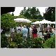 Garden Party 2007