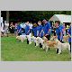 Southern Golden Retriever Society Display Team