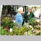Plant stall