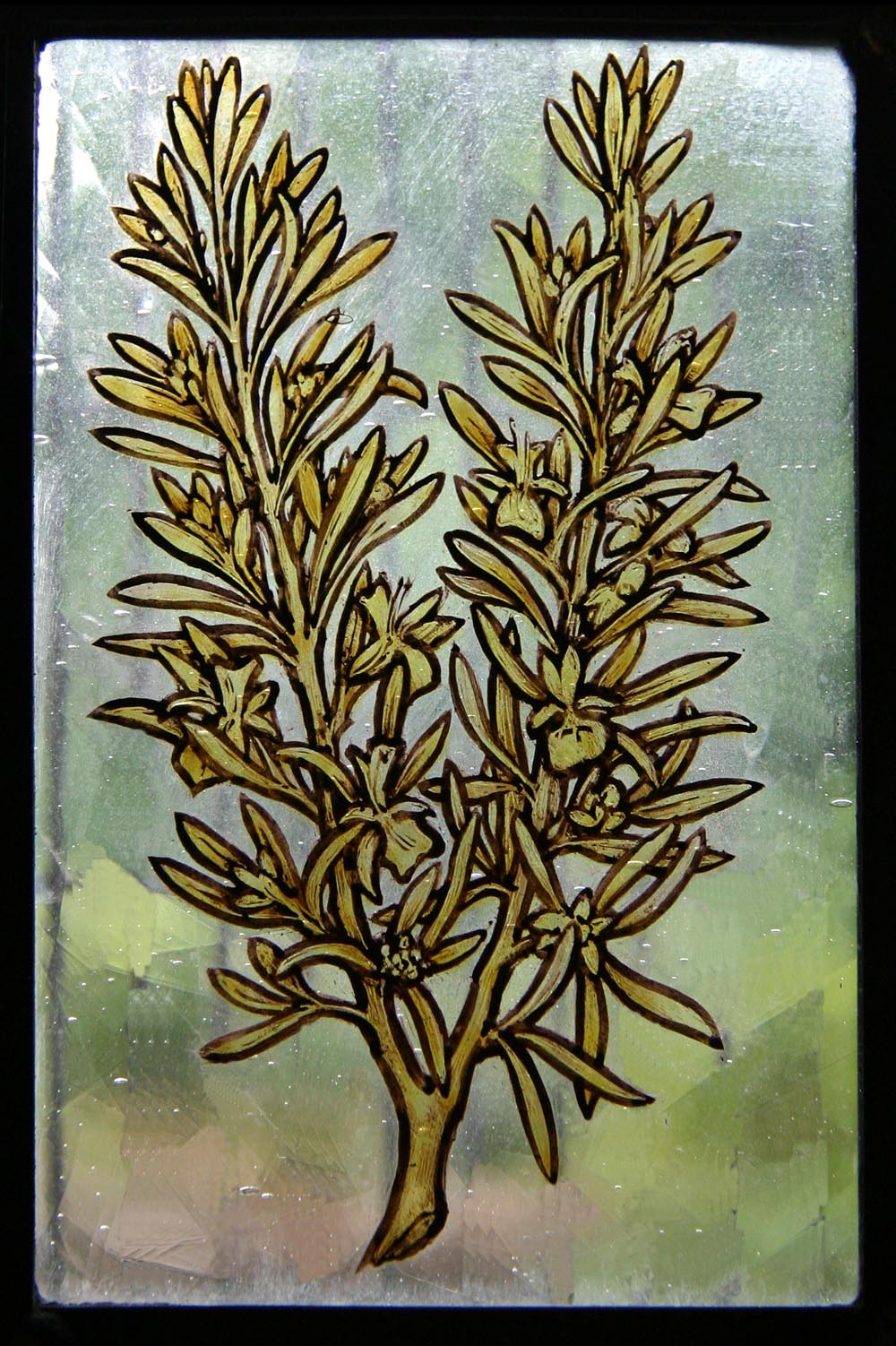 Rosemary